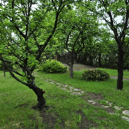 Szyszka I Roza Domek Na Jurze Zelazko Exterior photo