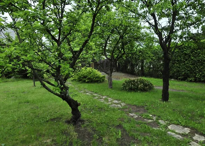 Szyszka I Roza Domek Na Jurze