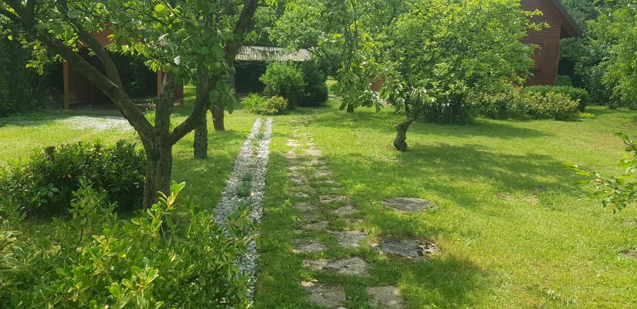 Szyszka I Roza Na Jurze